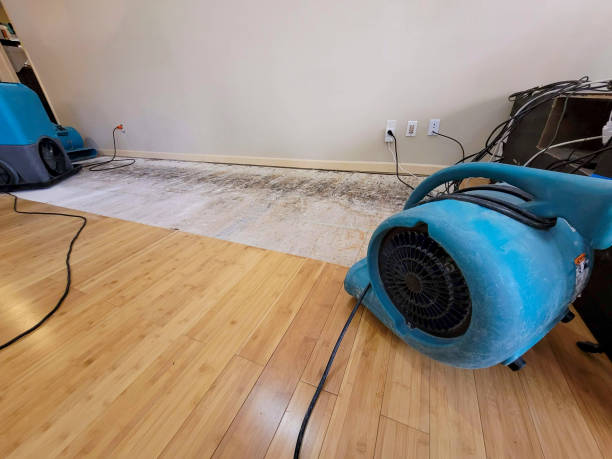 Professional Emergency Water Damage technician working in Shelby, MS